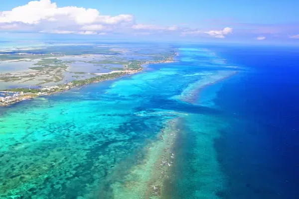 Colorful coral formations and tropical fish at the Mesoamerican Barrier Reef